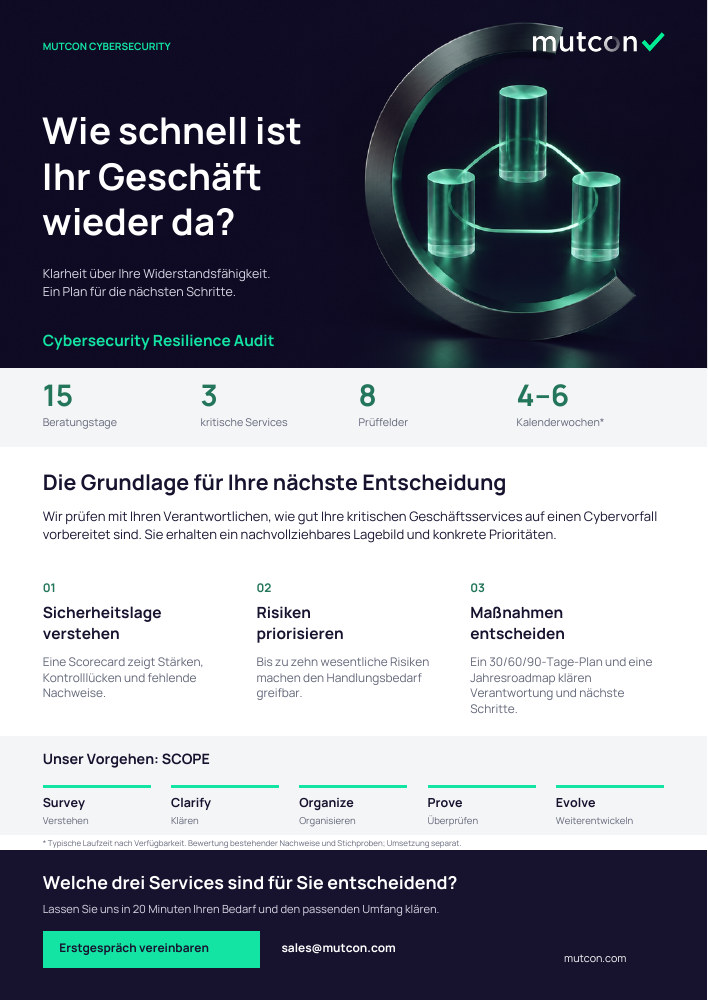 Erste Seite: Cybersecurity Resilience Audit